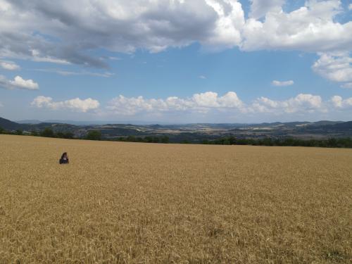 DJI_3605.JPG
